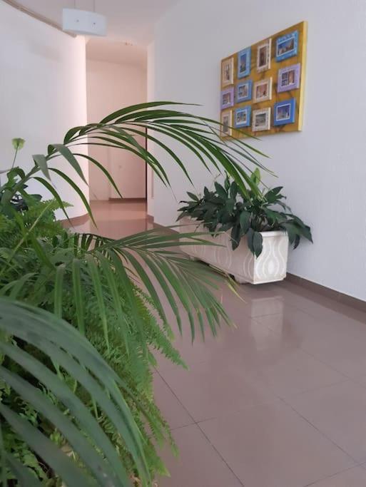 Apartamento Batalha - Quarteira, Algarve, Portugal מראה חיצוני תמונה