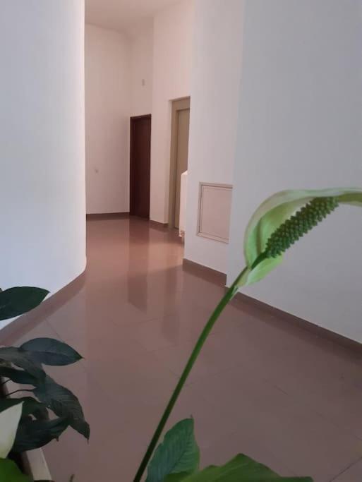 Apartamento Batalha - Quarteira, Algarve, Portugal מראה חיצוני תמונה